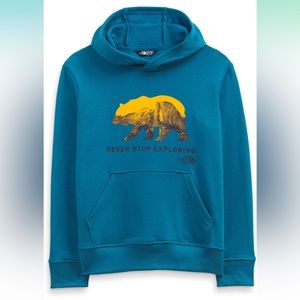 NWT The North Face boys camp fleece pullover